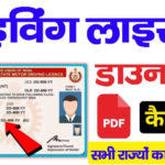 Driving Licence Download Kaise Kare 2025: घर बैठे ऑनलाइन ड्राइविंग लाइसेंस कैसे डाउनलोड करें?