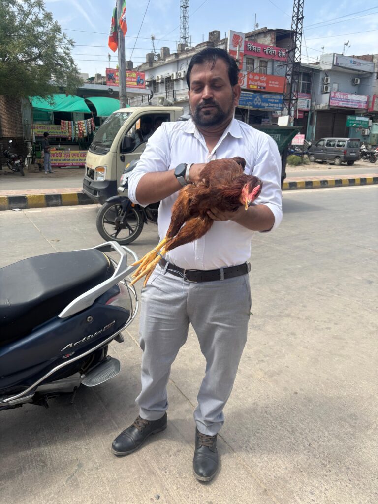 Bharatpur News: वशिष्ठ ने मरते हुए मुर्गा की बचाई जान